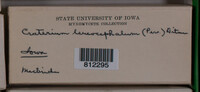 Image Associated With the Occurence